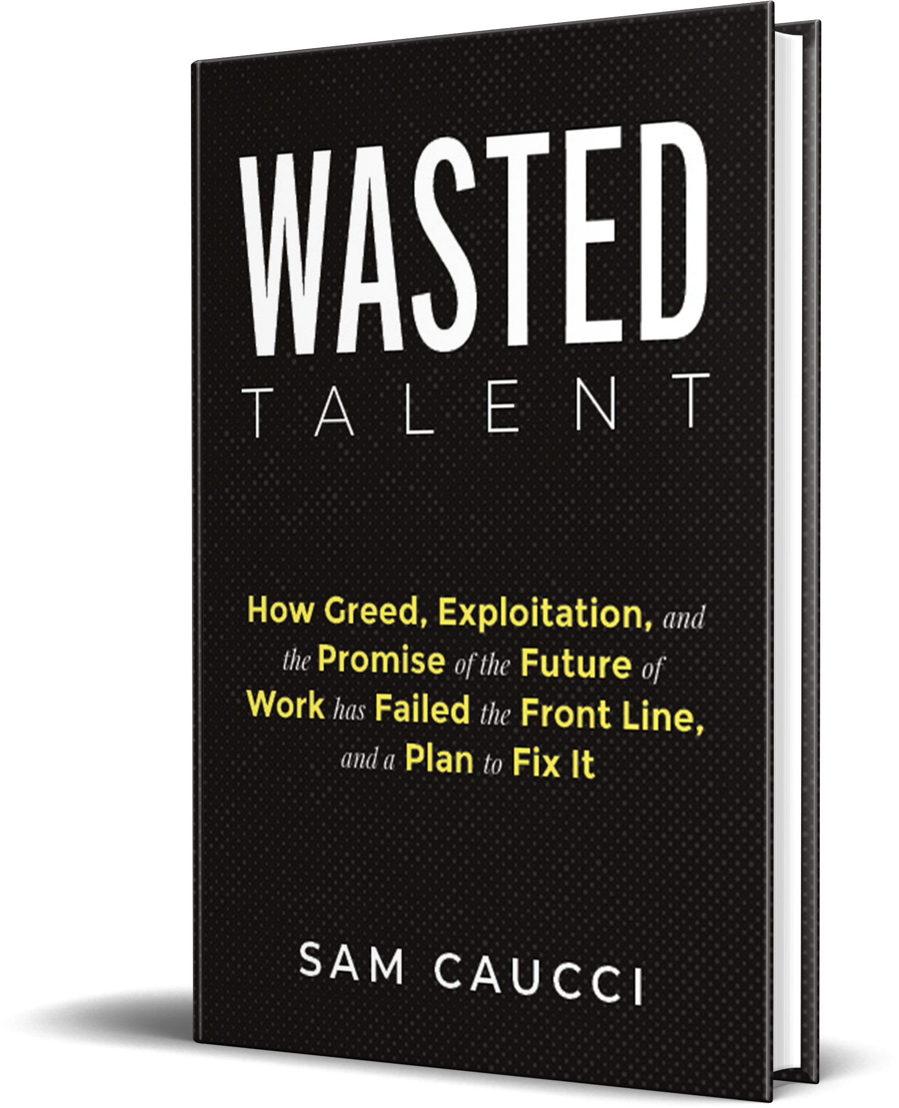 Wasted Talent by Sam Caucci — book cover